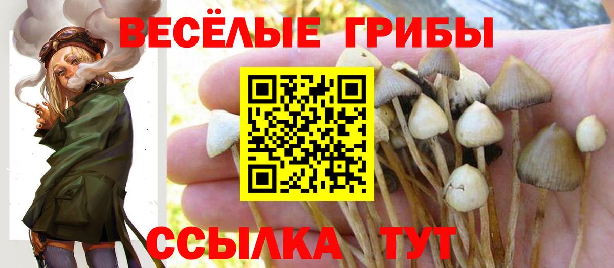 Галлюциногенные грибы мицелий Новошахтинск